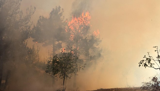 Yine Akdeniz, yine sıkıntı: HATAY VE MERSİN YANIYOR!